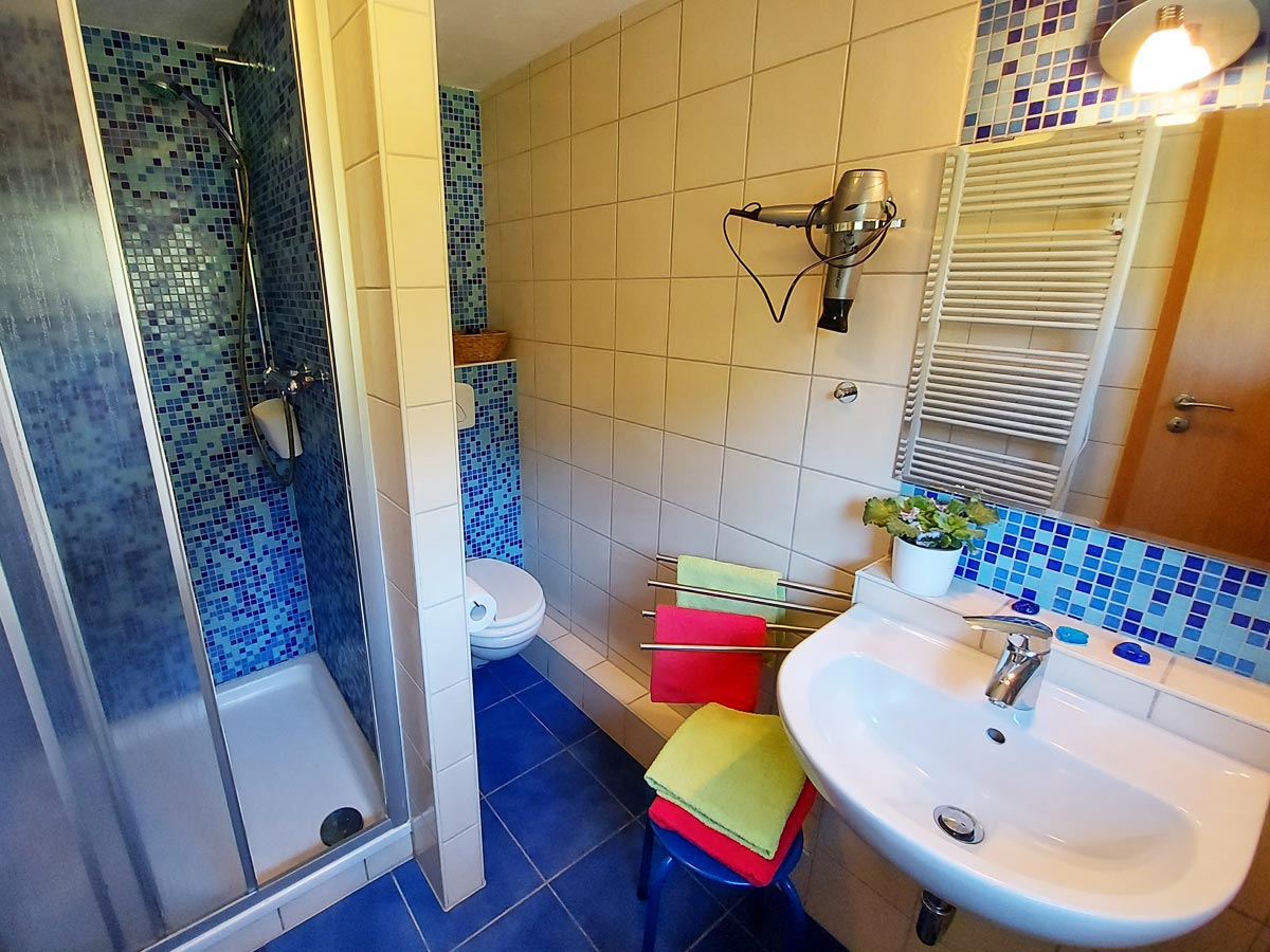 Ferienhaus Dorfbachklamm - Badezimmer mit Dusche und WC
