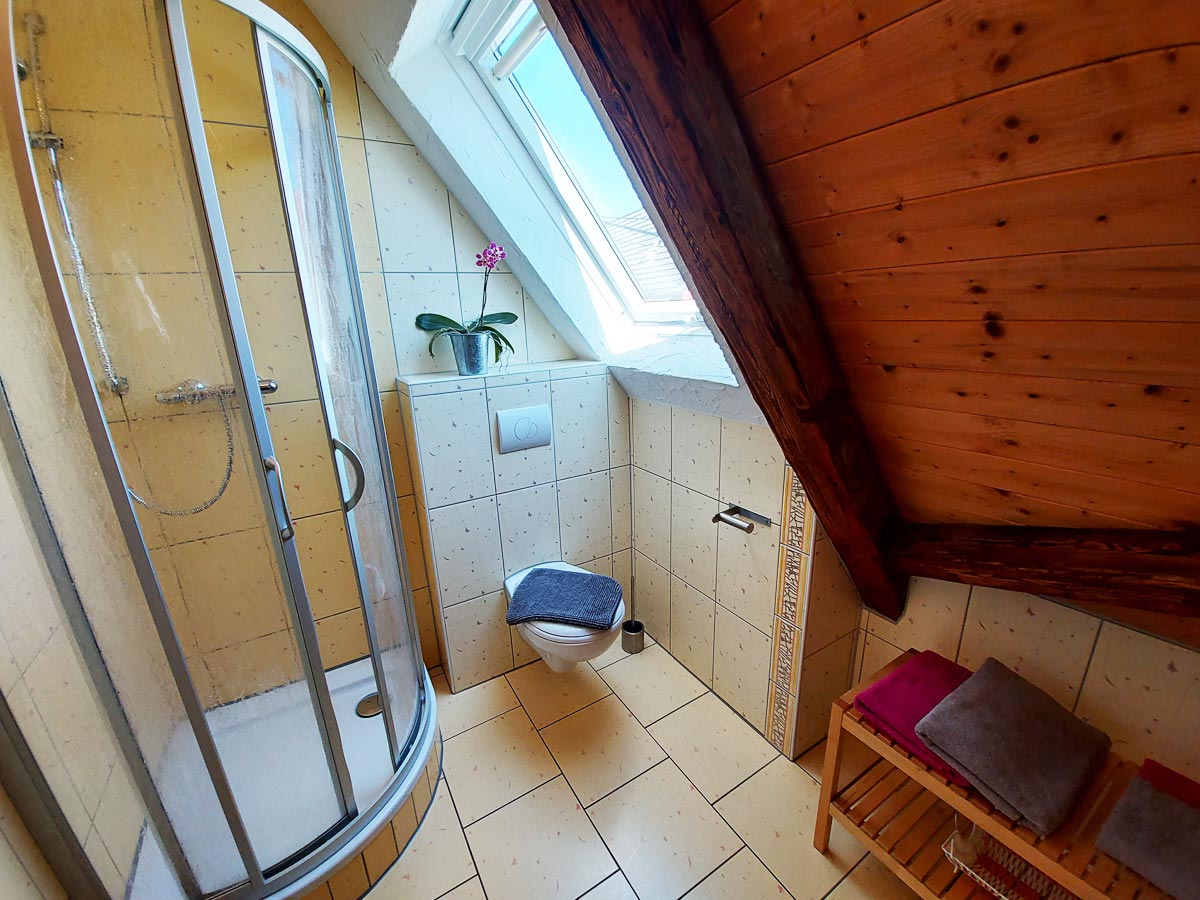 Ferienhaus Schrammsteinblick - Ferienwohnung3 - Badezimmer mit Dusche und WC