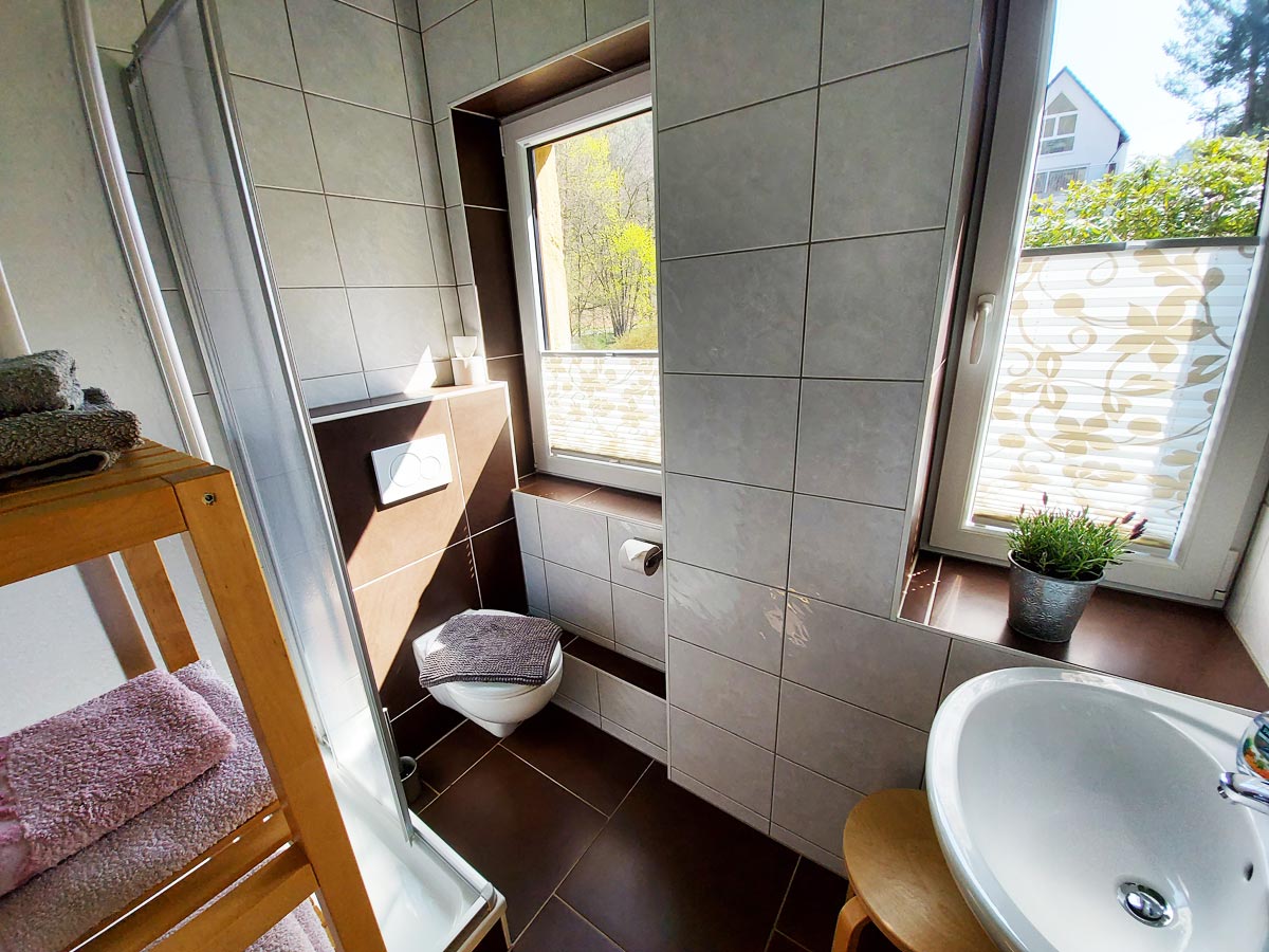 Ferienhaus Zum Kirnitzschtal - Ferienwohnung1 - Badezimmer mit Dusche und WC
